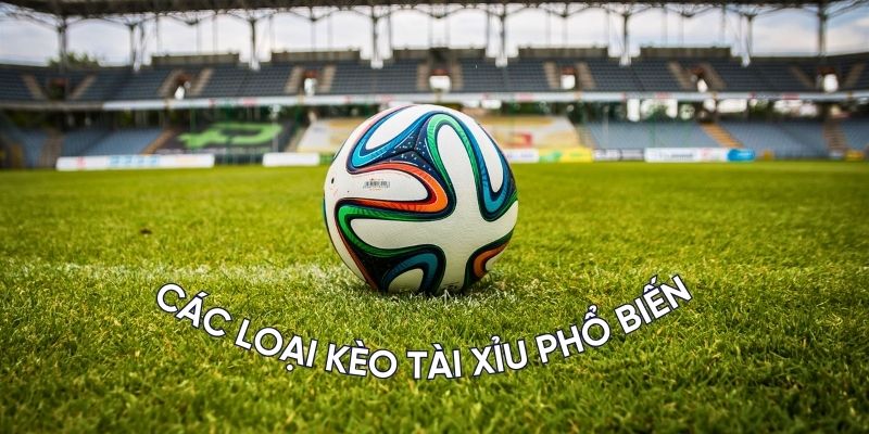 Các loại kèo tài xỉu phổ biến