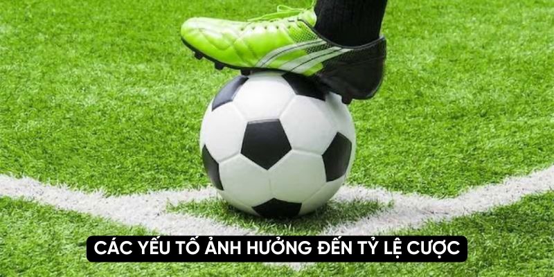 Các yếu tố ảnh hưởng đến tỷ lệ cược
